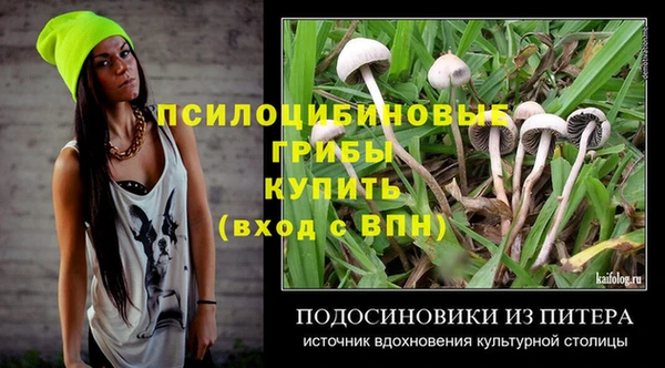 эйфоретик Краснотурьинск